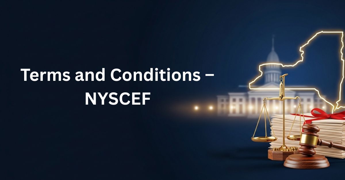 Terms-and-Conditions-–-NYSCEF